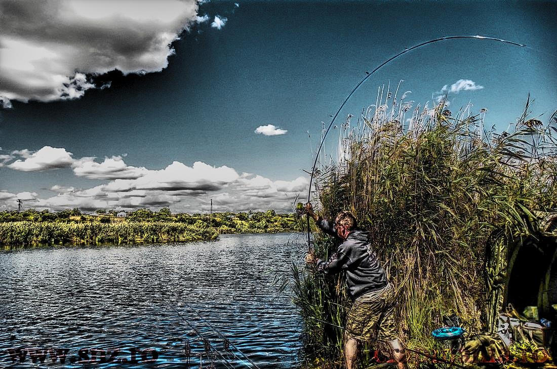 Debutmania - 2013 (2) - 1030410hdrmode2.JPG